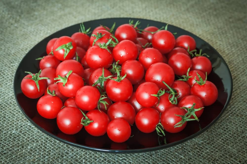 Tomates cherry